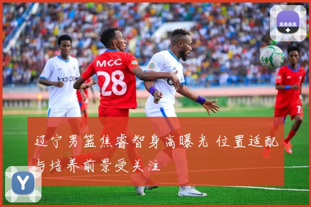 辽宁男篮焦睿智身高曝光 位置适配与培养前景受关注