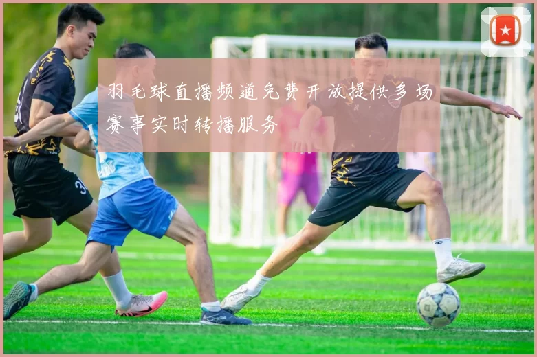 羽毛球直播频道免费开放提供多场赛事实时转播服务