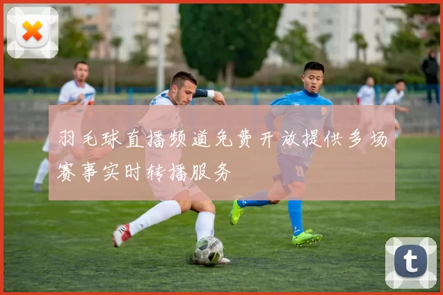 羽毛球直播频道免费开放提供多场赛事实时转播服务