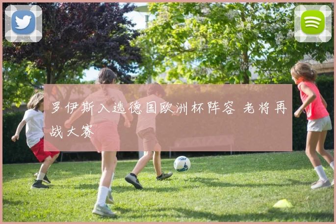 罗伊斯入选德国欧洲杯阵容 老将再战大赛